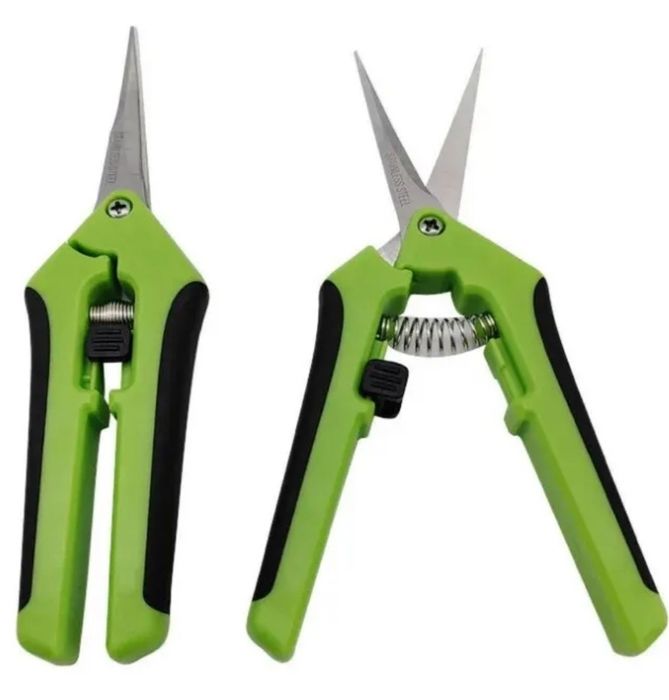 Сікатор-ножиці для кімнатних рослин.