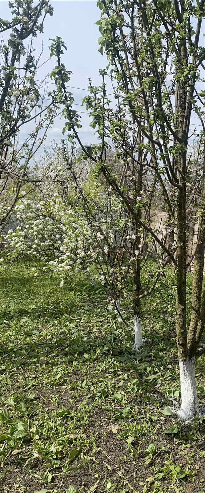 Продається будинок від власника Черняхівка ( Соколівське , Кропивницки