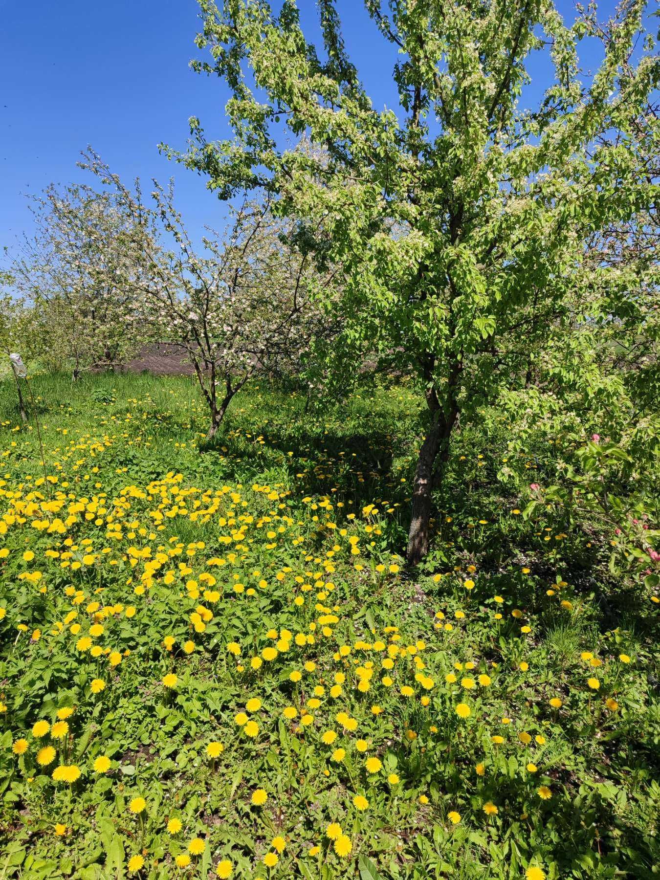 Продаж будинку у Клочкові біля річки Снов