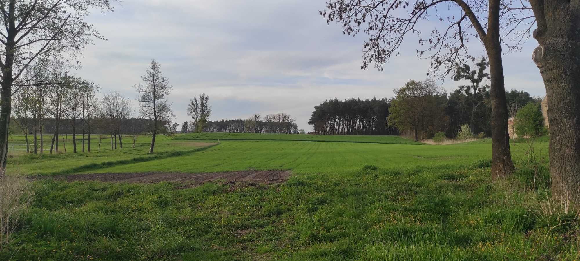 Działka Budowlana 3250 m2. Staw . Studnia Ziemia Rolna 6000 m2