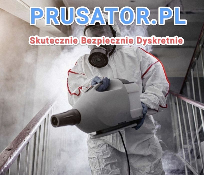 SKUTECZNE zwalczanie pluskwy, prusaki, osy - DEZYNSEKCJA ODPLUSKWIANIE