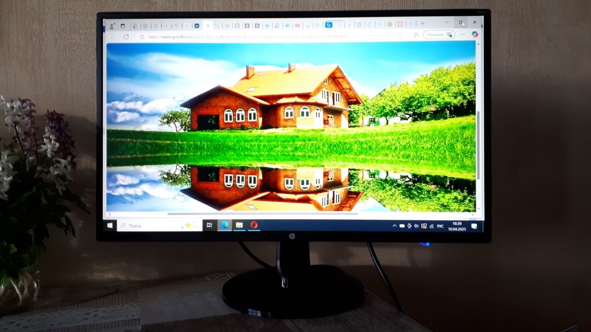 Монитор HP N246V 23,8"