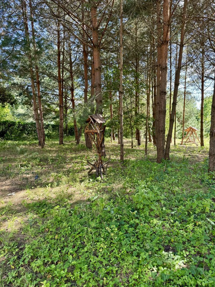 Karmnik dla ptaków, wiewiórek