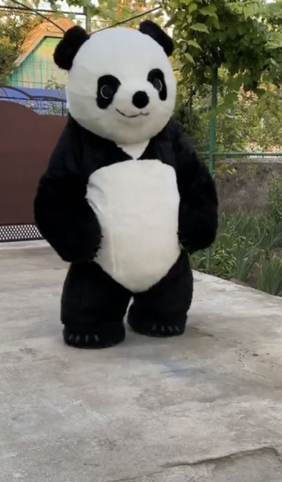 Надувний костюм панди