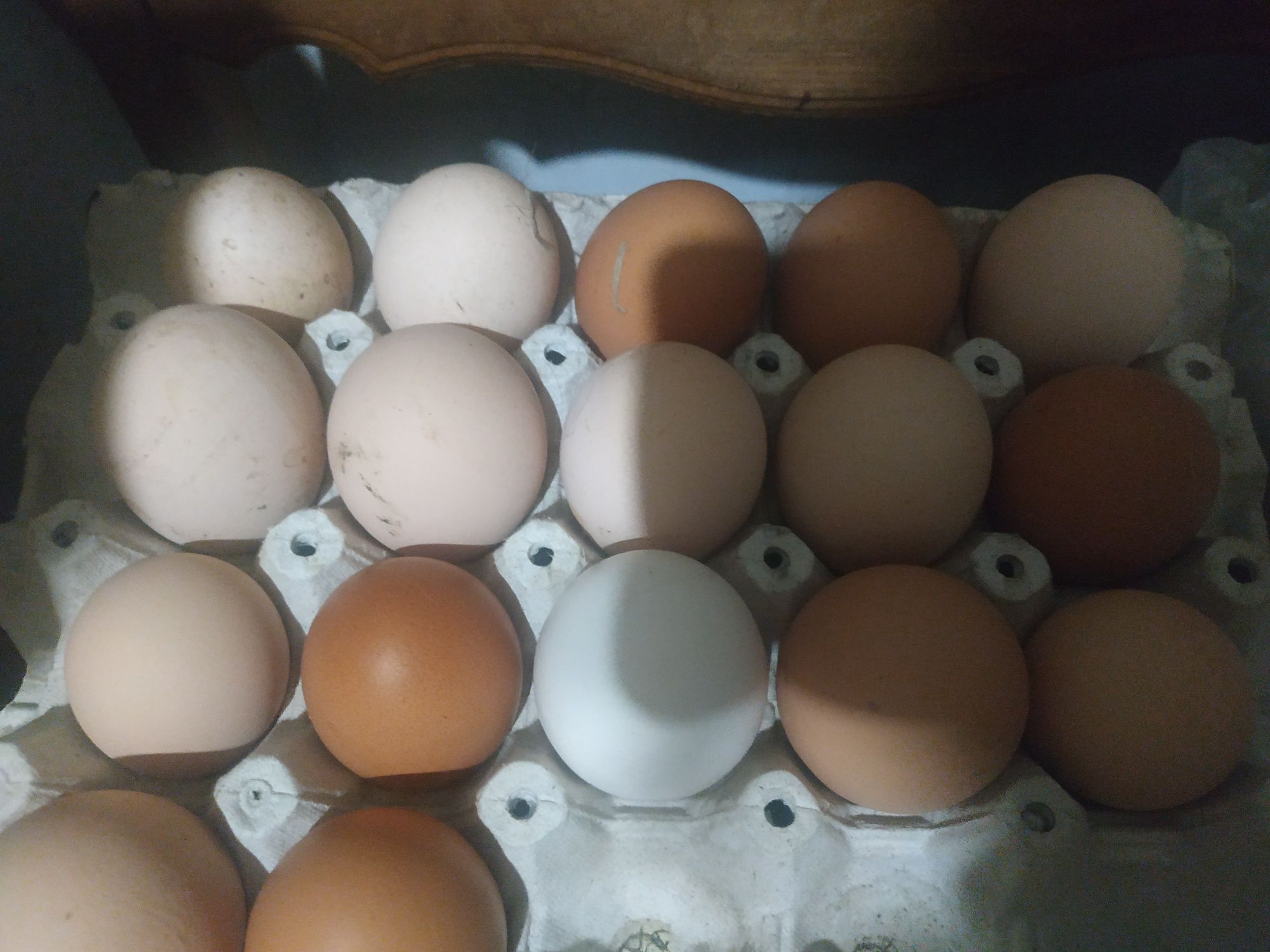 Поменяю крупы на домашнии яйца или на петуха.