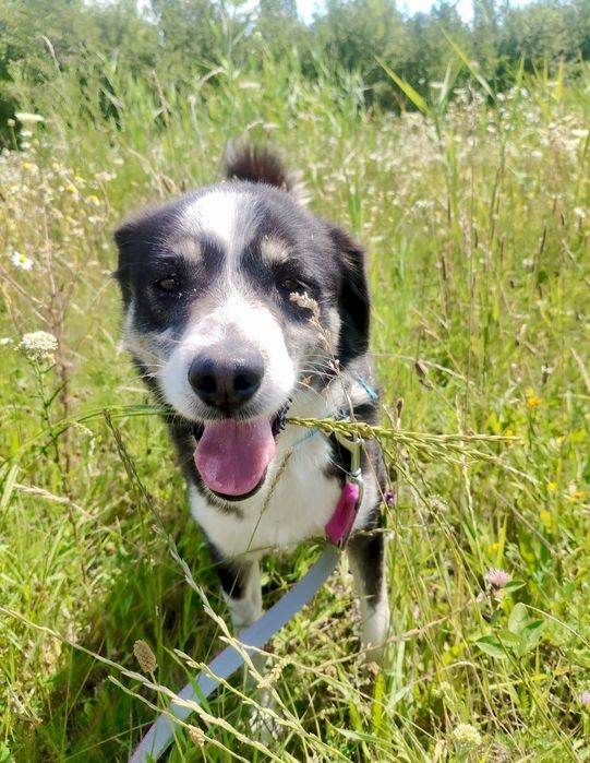 Proszę daj mi szansę i zabierz mnie do domu ...