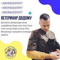 Виклик ветеринара на дім