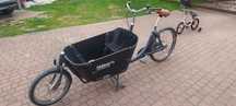Babboe City – rower cargo dla dzieci  7 biegów osłona przeciwdeszczowa