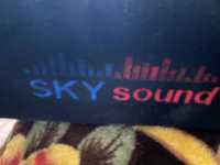 Сабвуфер колонка SKY Sound SS-6SUB 600 Вт в авто чи для оселі