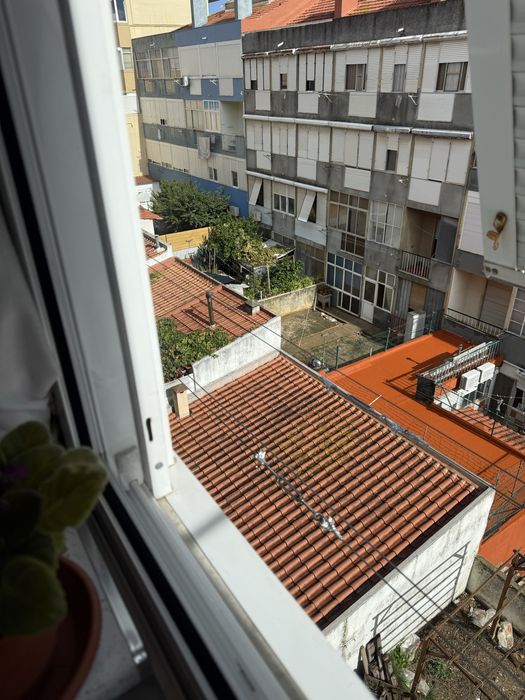 Assistencia do Estendal