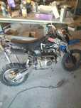 Vendo pit bike 125