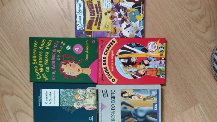 Lote livros variados