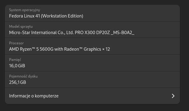 Ryzen 5600G MSI PRO DP20ZA 5M 16 GB RAM dysk 256 GB