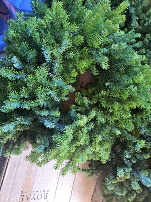 Jodła wiozanki wianki gałezie jodłowe