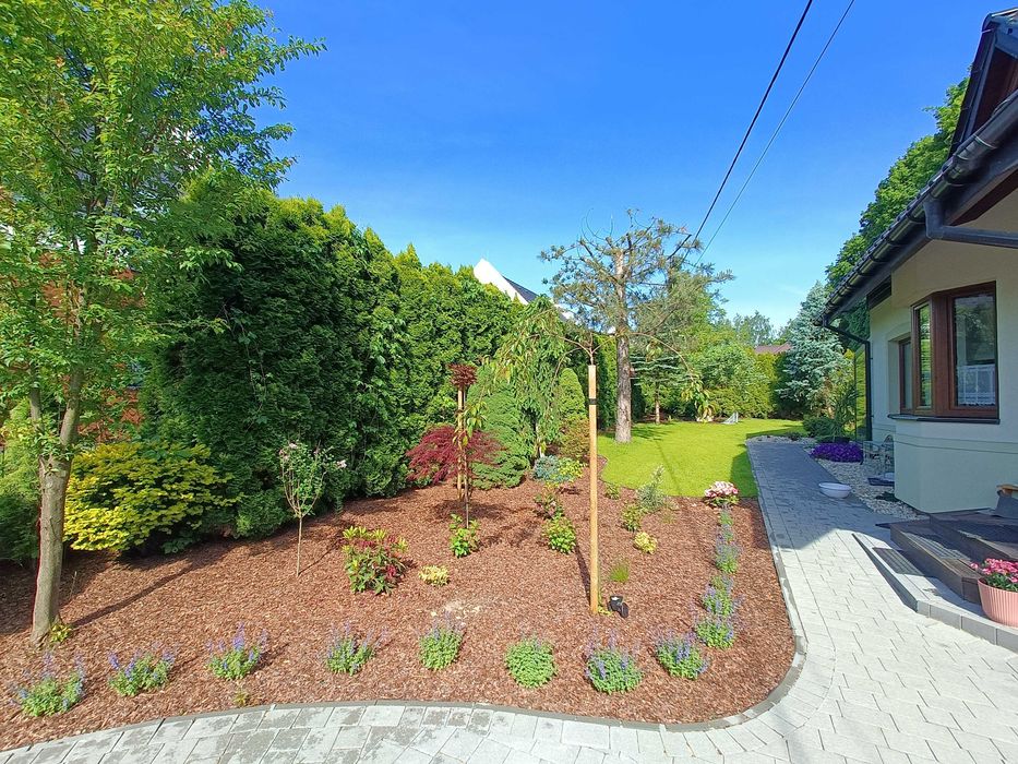 Zakładanie terenów zielonych oraz dachów zielonych