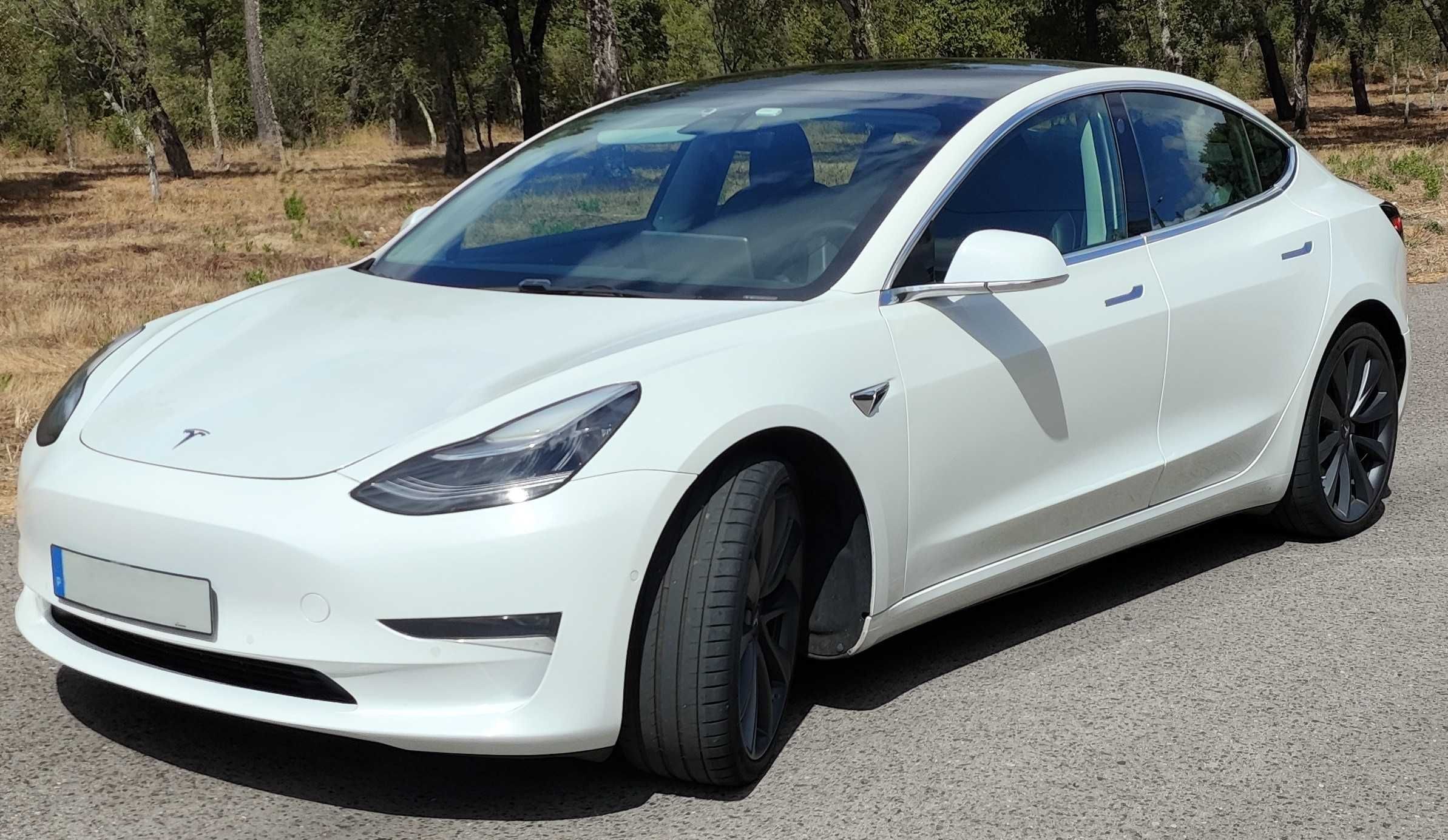 Tesla Model 3 long range Performance