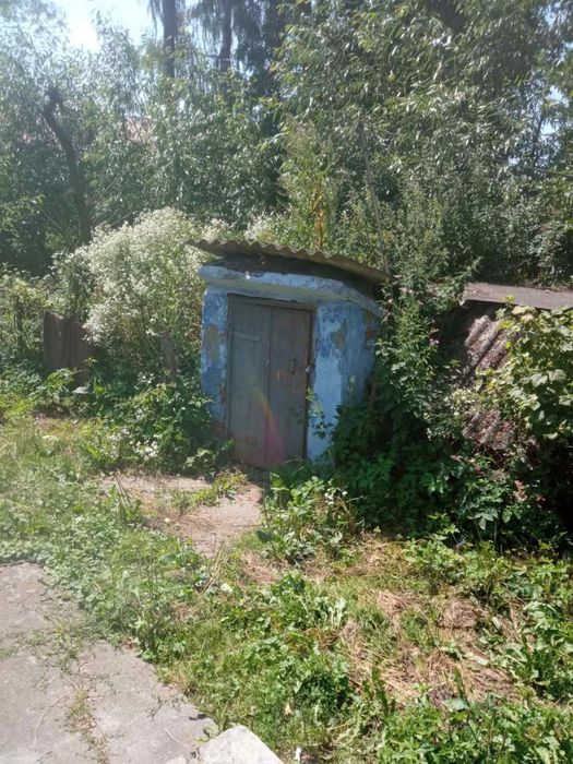 Продам будинок в мальовничому селі      ‼️ СРОЧНО ‼️