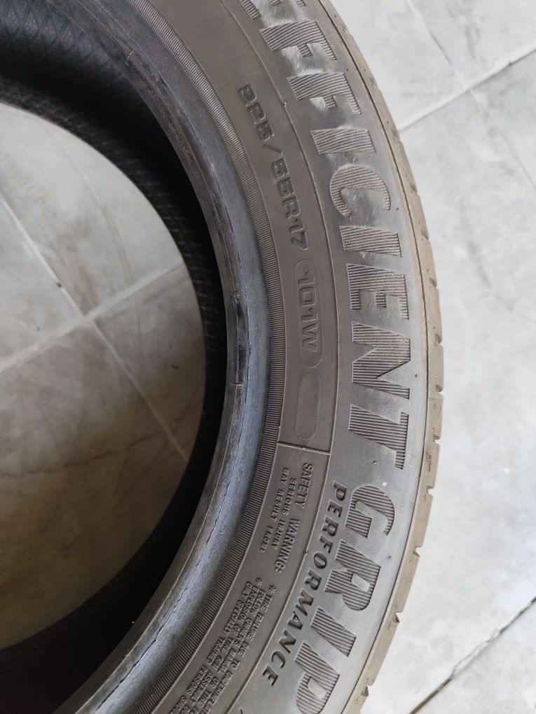 Pneus 225/55r17 Goodyear EfficientGrip Performance 90% piso