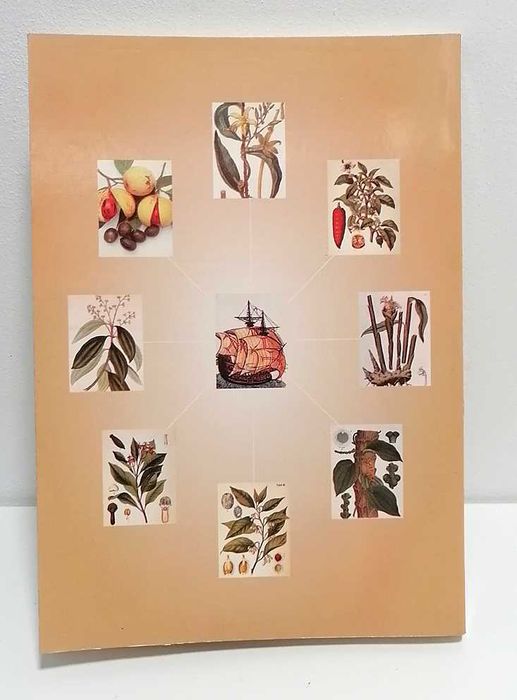 Portugal - Na Rota das Especiarias, de Artur Teodoro de Matos