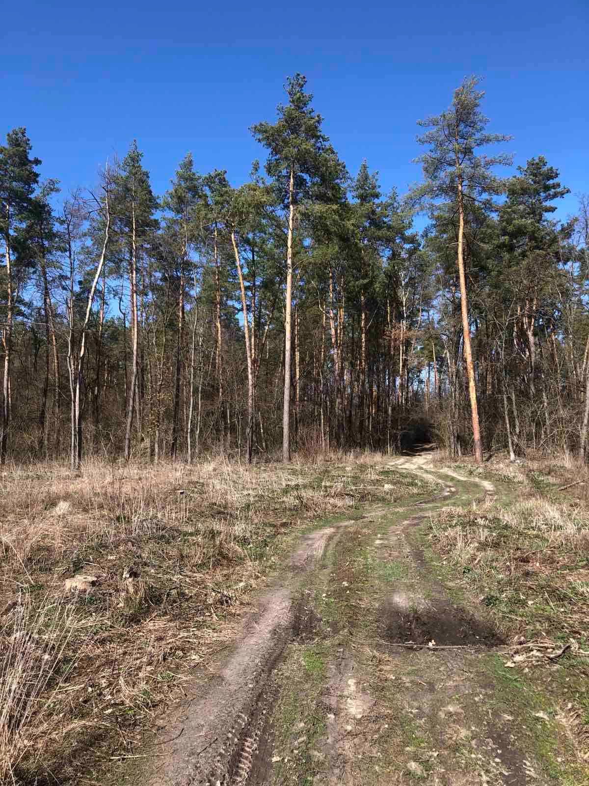 Дешево! Земля в садовом товариществе. Село Дмитровка. Фастовский р-н.