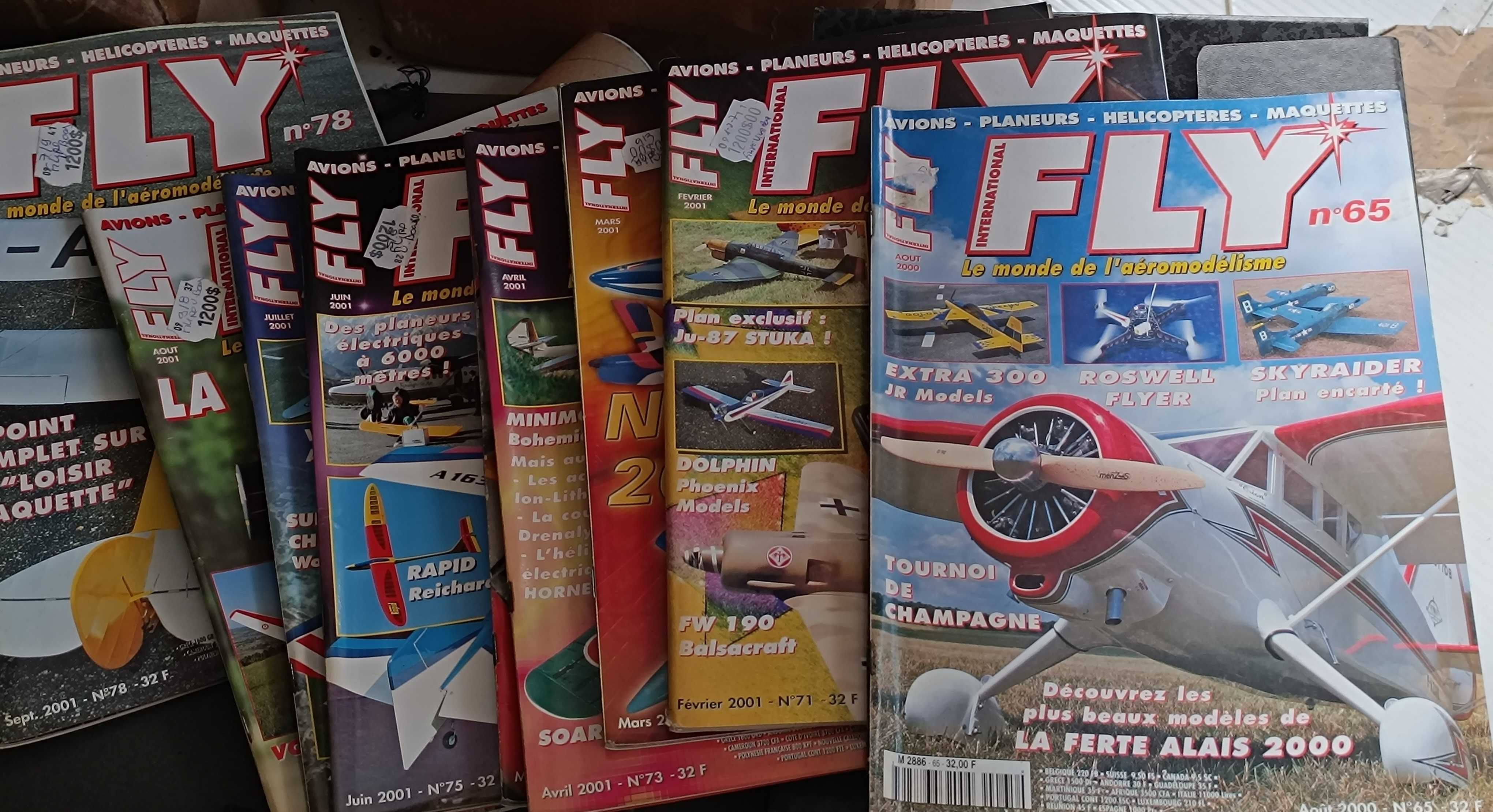 8 Revistas da Fly International