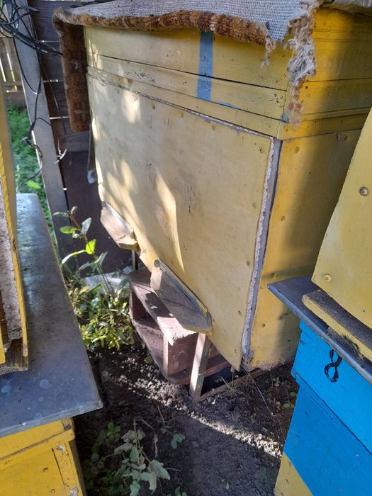 продам вулик для бджіл
