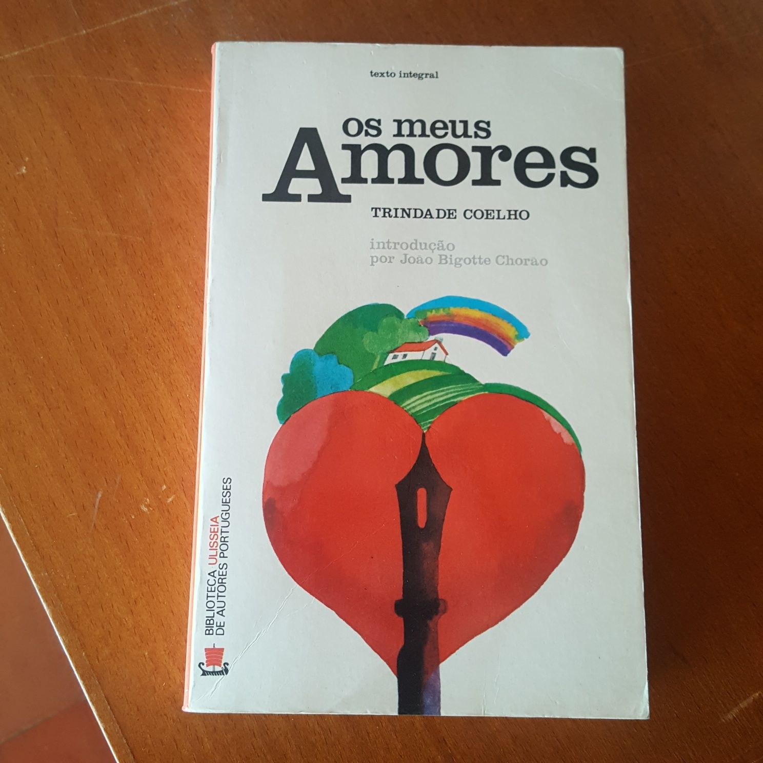 Livro Os Meus Amores