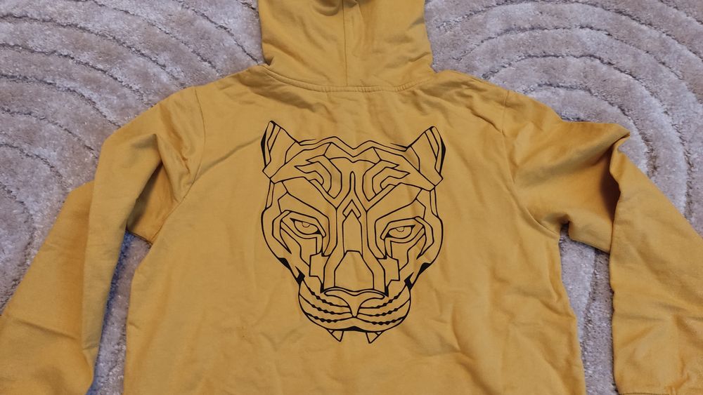 Nowa bluza coccodrillo 158, chłopięca