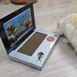 Когтеточка-ноутбук для котика Cat Laptop Scratch Pad (б/у) + подарок