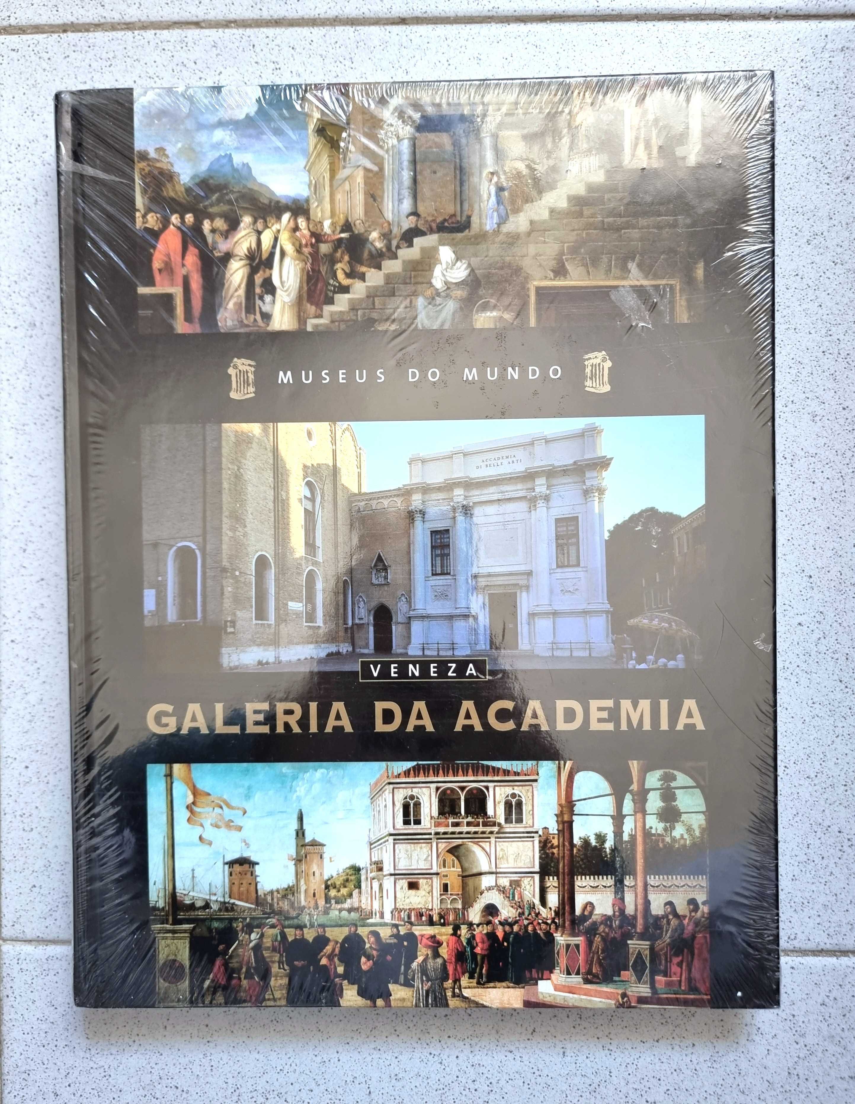 Livro "Veneza - Galeria da Academia" da coleção Museus do Mundo - novo