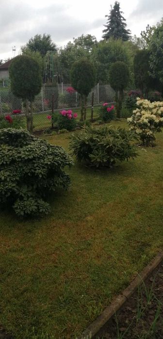 Działka ROD ,,POZIOMKA" domek ocieplony z poddaszem i tarasem