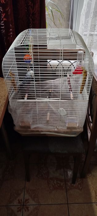 Велика клітка для папуг