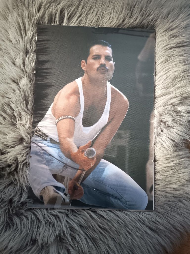 Obraz na płótnie plakat w antyramie Freddie Mercury Queen