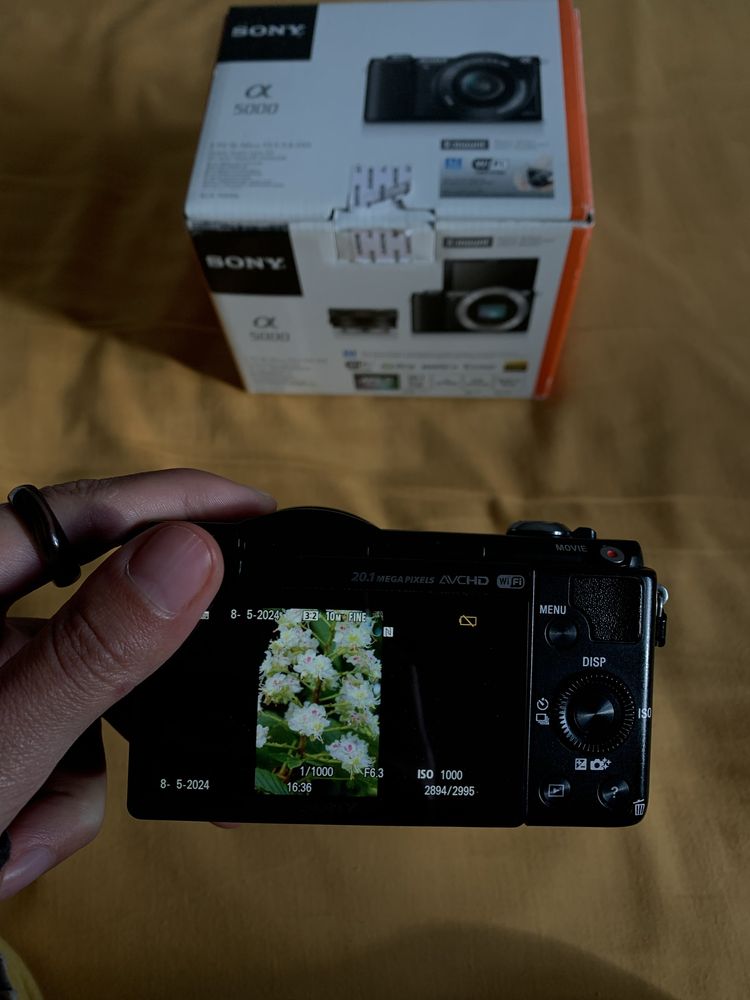 sony a5000 kit 16-50