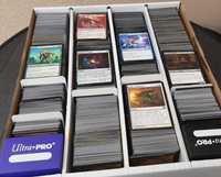 Kolekcja Kart Common, karty mtg magic the gathering