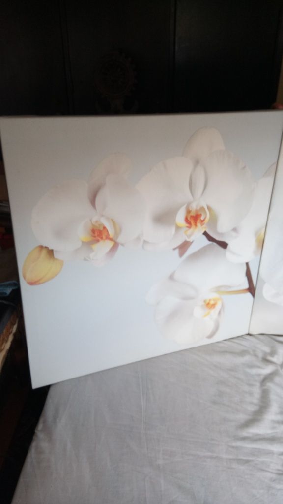 Conjunto 3 quadros de sala orquideas