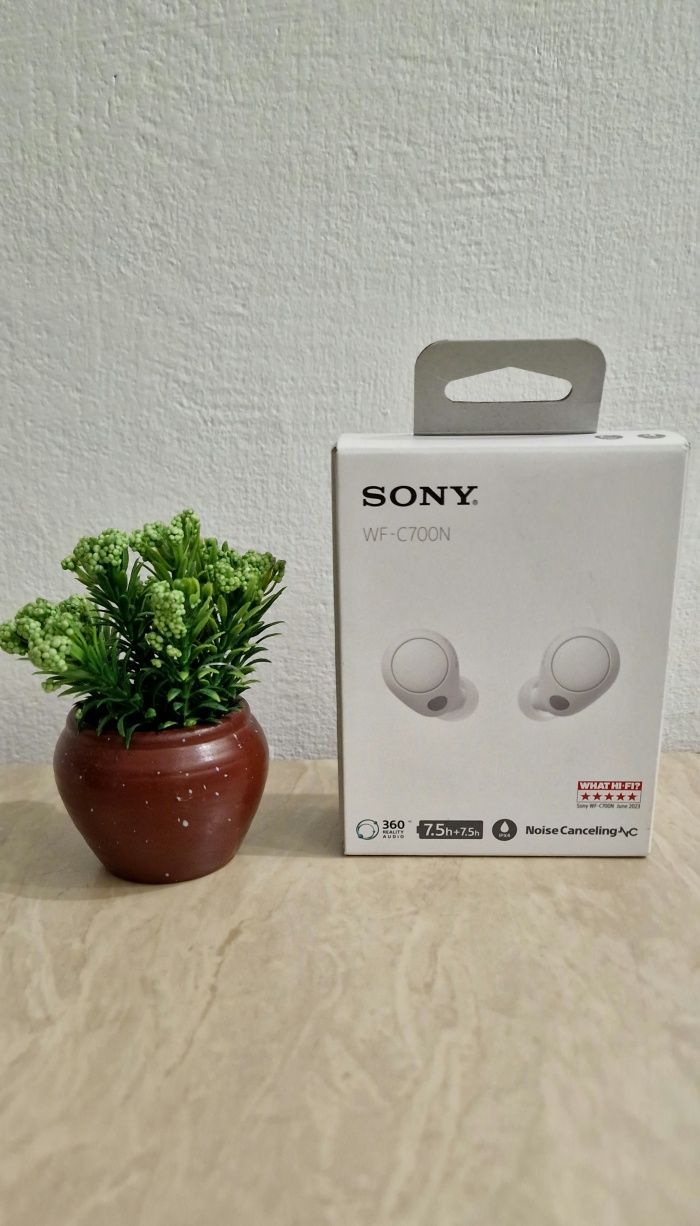 Бездротові навушники Sony WF-C700N /WZ