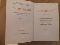 Puszkin Aleksander Po rosyjsku. Proza autobiograficzna i historyczna