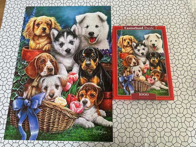 Castorland 1000 puppies