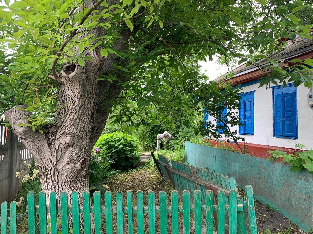 Приватний будинок в центрі села Мала Бурімка
