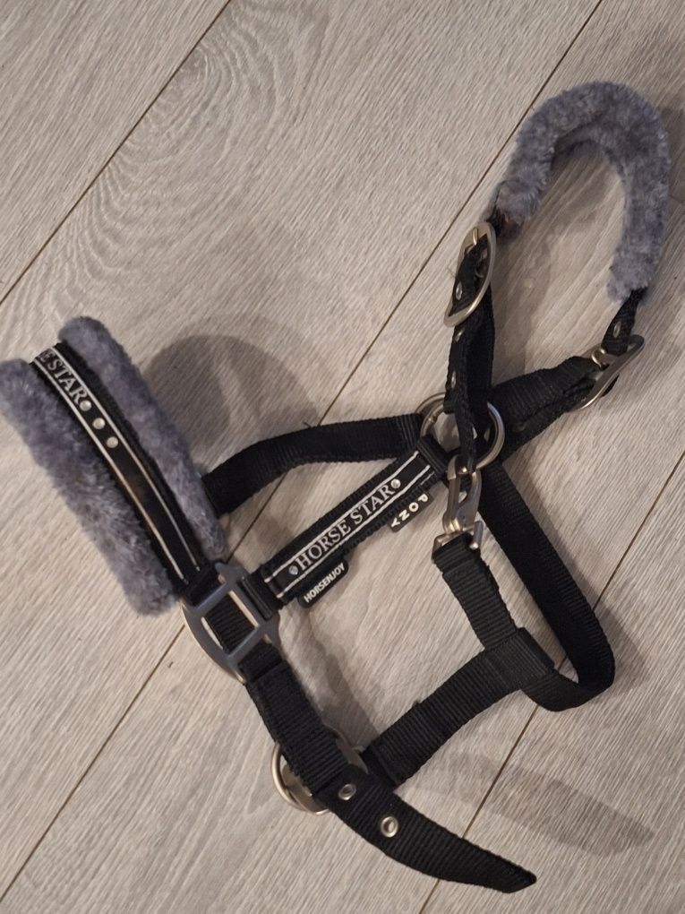 Kantar  pony -Horse star