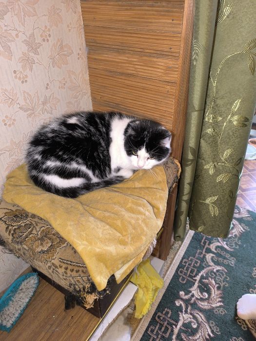 Авіамістечко, вул. Гетьмана, 2-кімн. квартира.