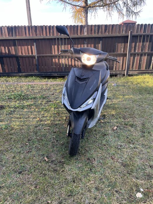 Barton scalpel 50cm 2022rok