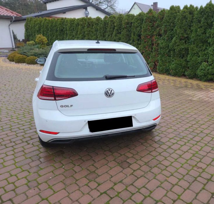 2019 Volkswagen Golf 1.6 TDI (BlueMotion Technology) DSG Comfortline
