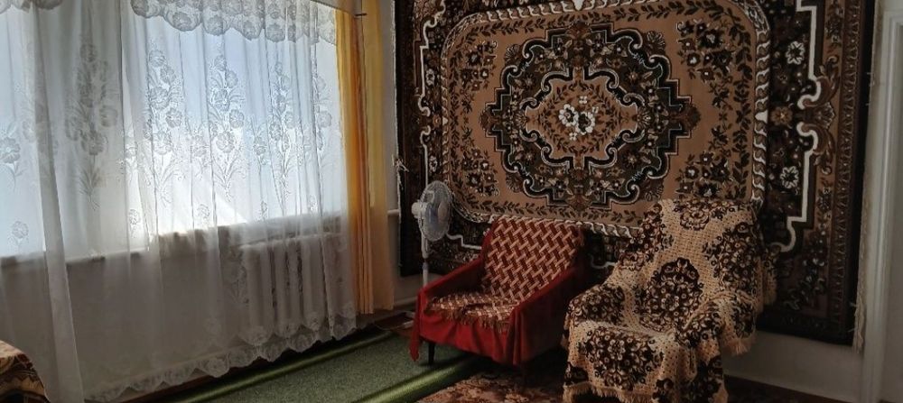 Продається будинок с. Дмитрушки