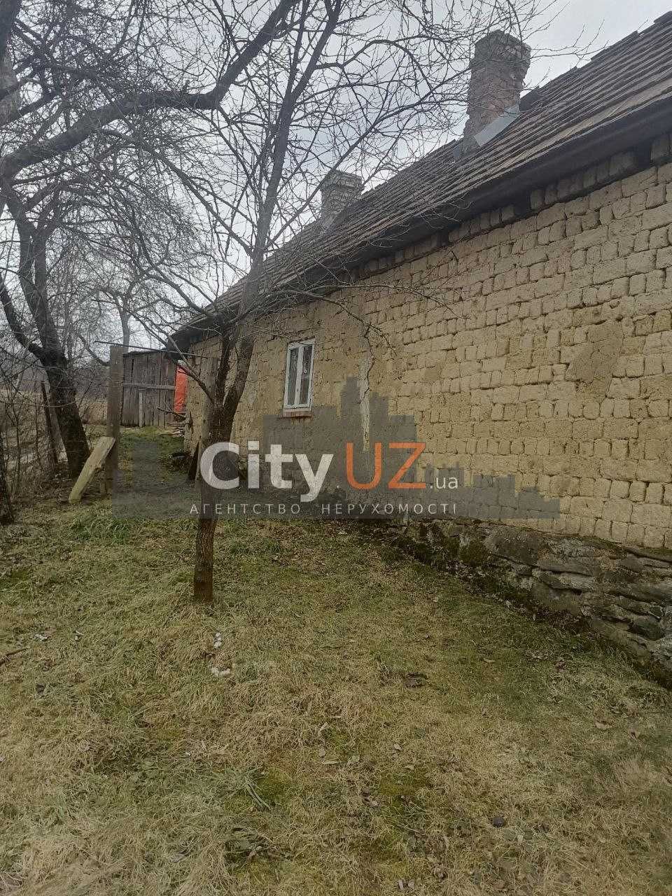 Продається будинок у мальовничому куточку Закарпаття с. Туриця