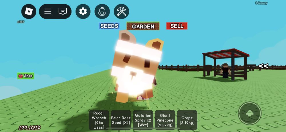 Єнот / Raccoon / Pets Grow a Garden Roblox