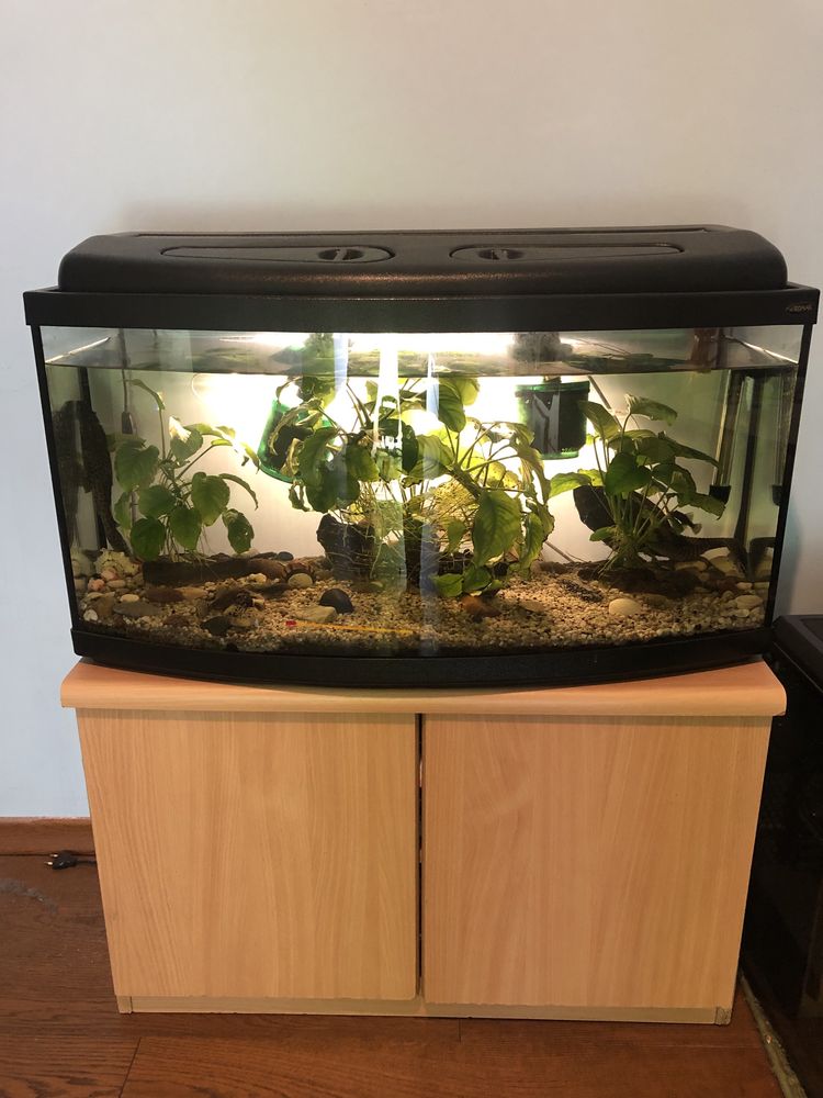 Szafka, stelaż pod akwarium 80 x 33 x 50