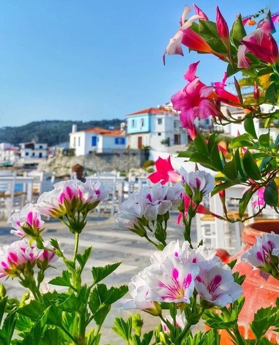 Продам дом в тихом районе.