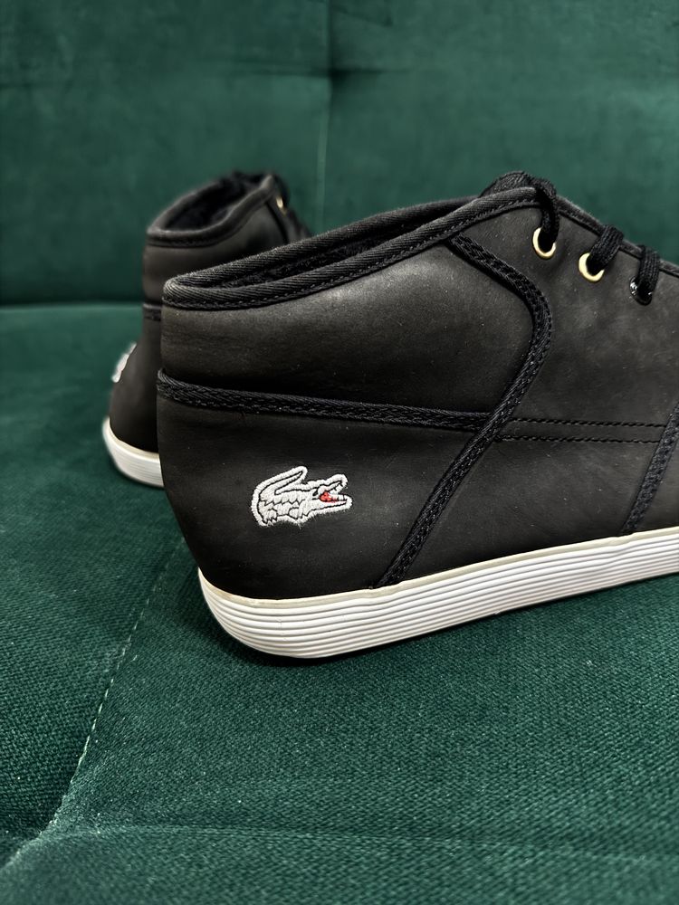 buty męskie firmy Lacoste